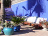 Blue Wall near Pool with Palm Shadow