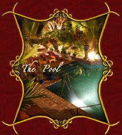 Hotel California Pool